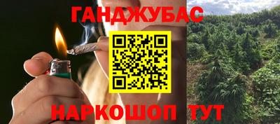 эйфоретик Аргун