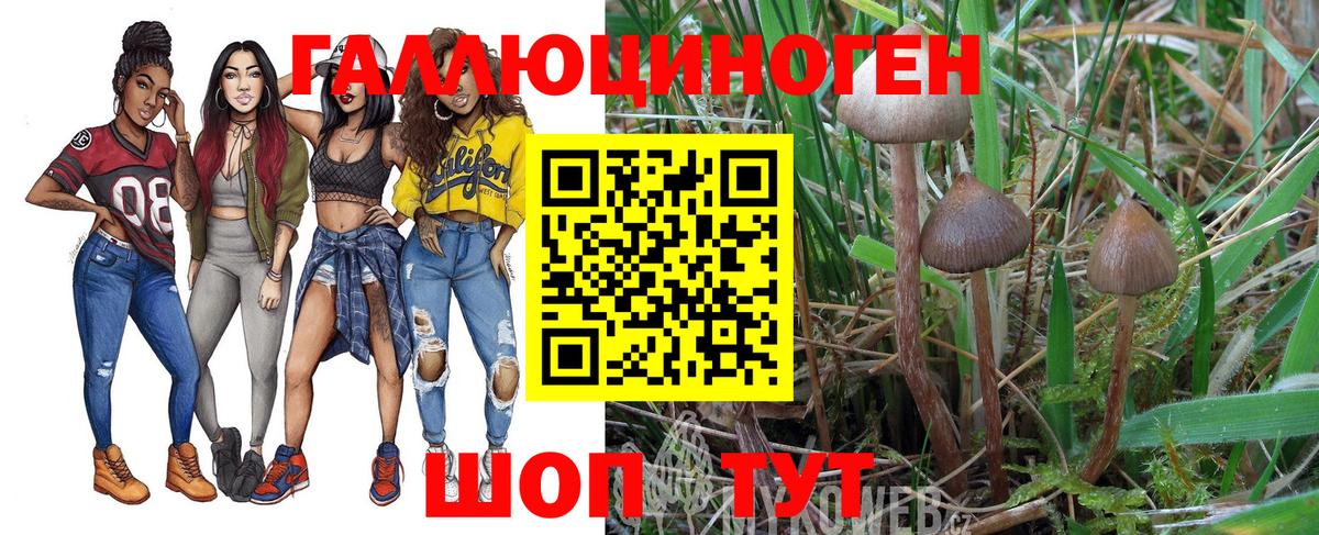 Ачхой-Мартан  Псилоцибиновые грибы мицелий  Вход с VPN 