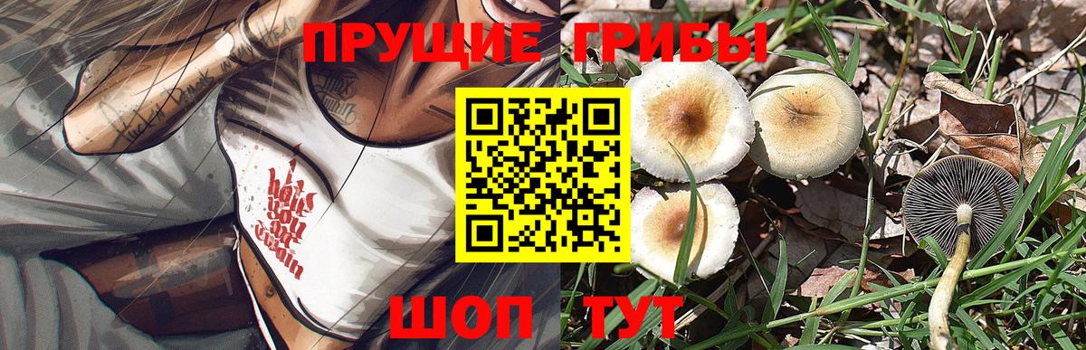 Галлюциногенные грибы MAGIC MUSHROOMS  Ачхой-Мартан  Псилоцибиновые грибы прущие грибы 