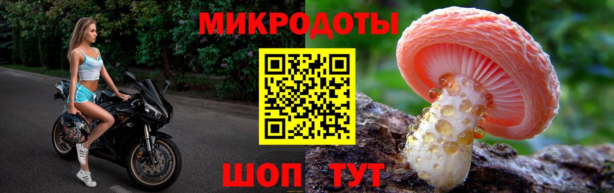 Галлюциногенные грибы Cubensis Ачхой-Мартан