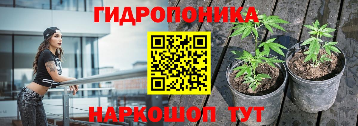 МАРИХУАНА THC 21%  Ачхой-Мартан  Марихуана индика 