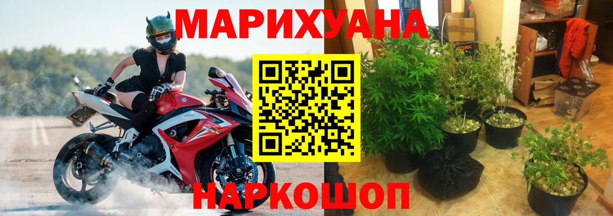 Шишки марихуана VHQ  Бошки марихуана OG Kush  Каннабис планчик  Бошки марихуана ГИДРОПОН  Вход с VPN  Ачхой-Мартан 
