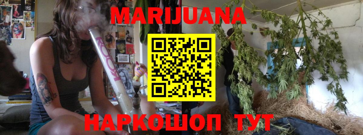 Марихуана гибрид Ачхой-Мартан